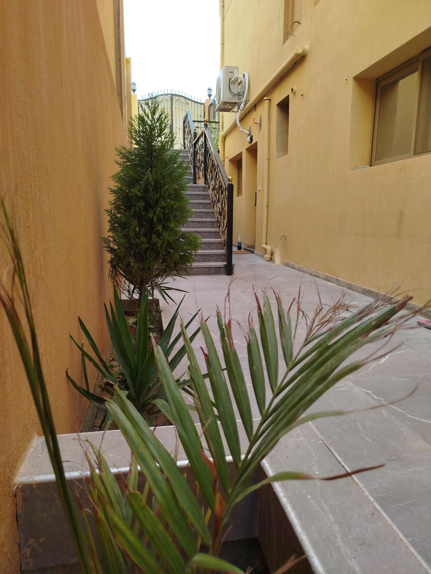 شقه فندقيه مفروشه Apartment